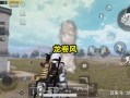 关于和平精英主播玉玺是否使用外挂的探讨与解析_和平精英主播玉玺是不是挂