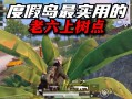 揭秘和平精英昭君外挂：游戏优势、使用风险与防范策略揭秘_和平精英昭君外挂