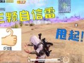 和平精英隐身挂_和平精英少羽开挂没