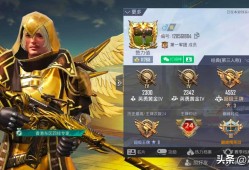 《和平精英赤羽金尊遭遇外挂：游戏安全挑战与应对策略》_和平精英赤羽金尊遇到外挂